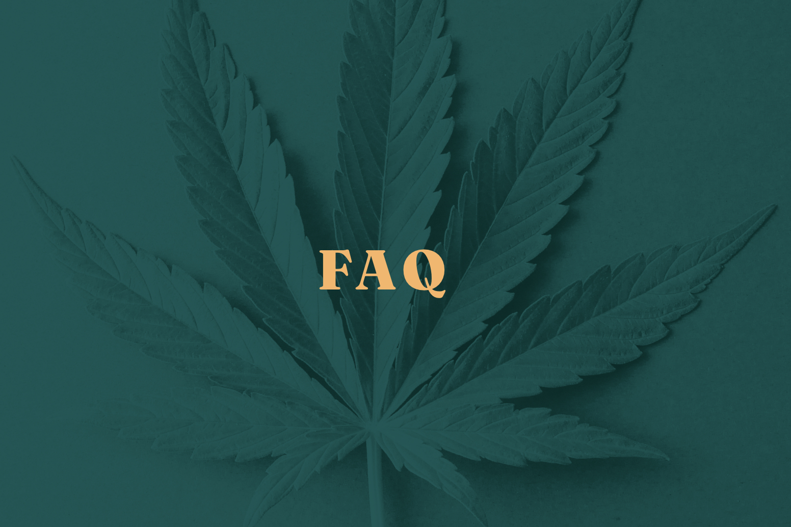 Fiddler's Green Cannabis — community atmosphere